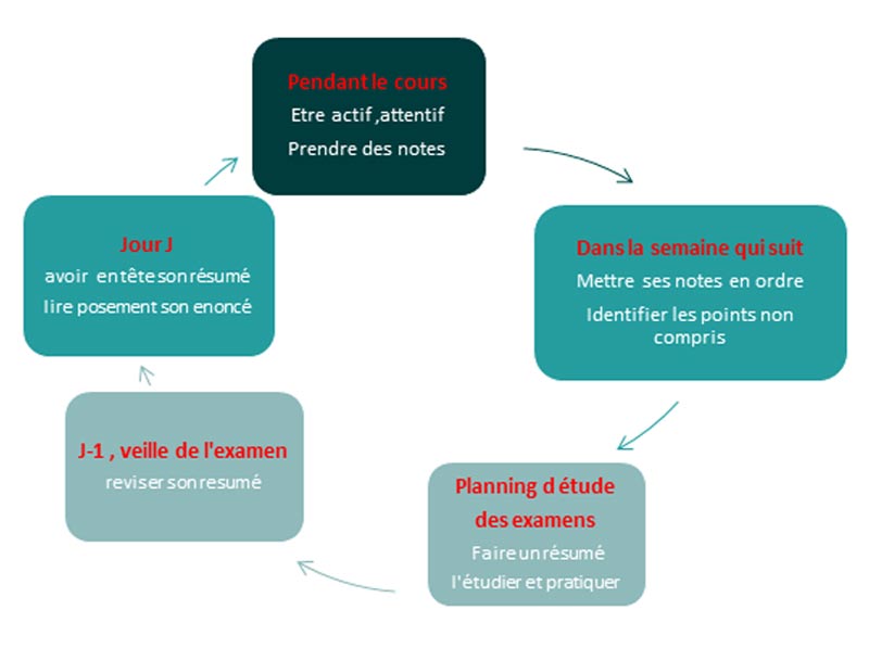 le-cycle-standard